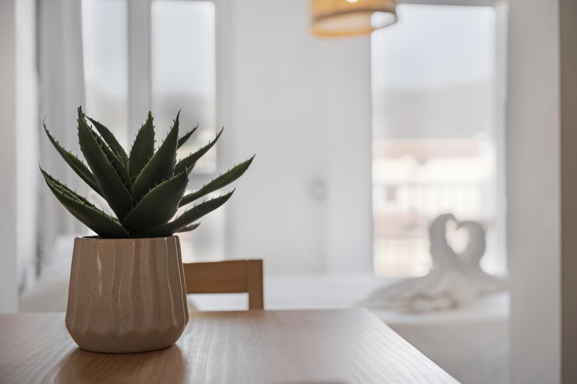 Apartamento La Pista Sur San Sebastián de la Gomera Εξωτερικό φωτογραφία